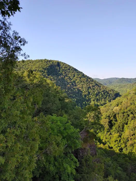 Cove View Campground Picture 6