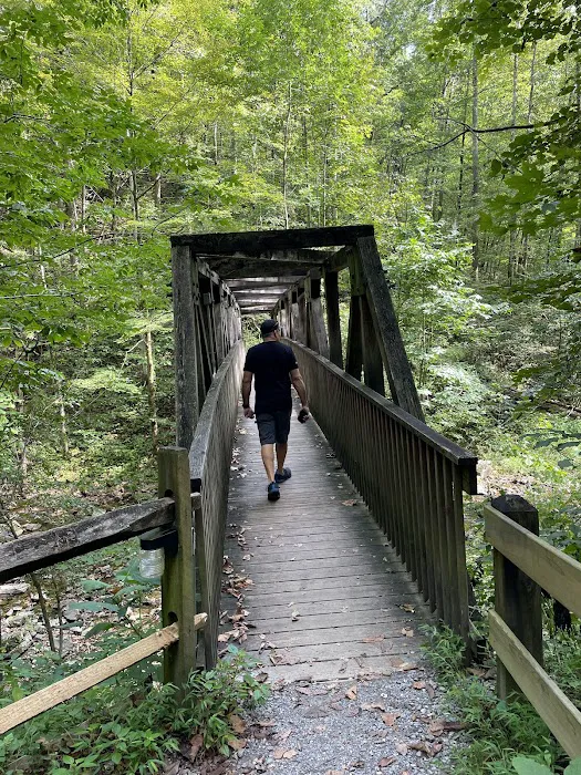 Lover's Leap Campground Picture 3