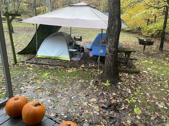 Primitive Campground Picture 6