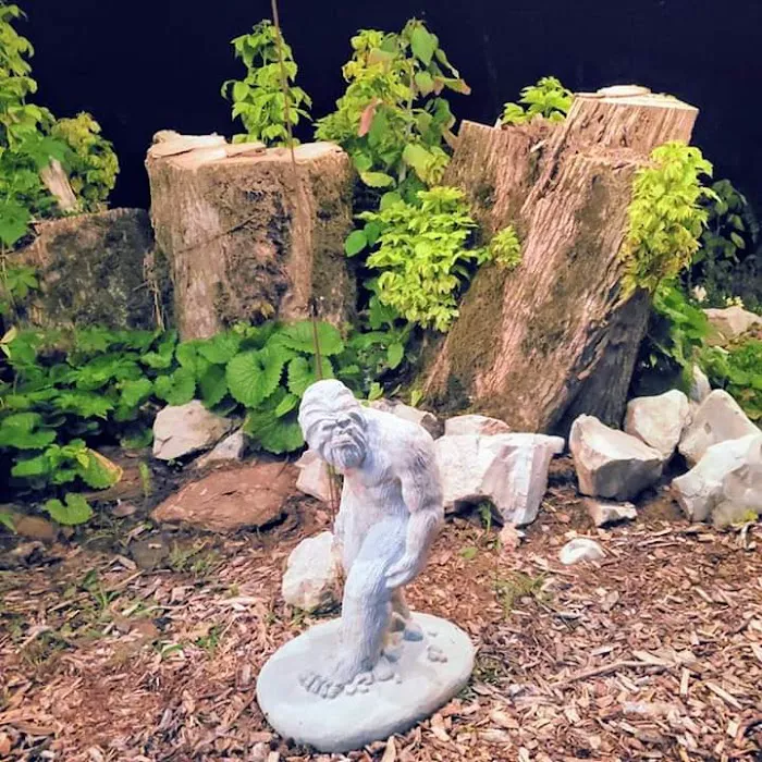 Squatchy Adventures RV Campground Picture 2