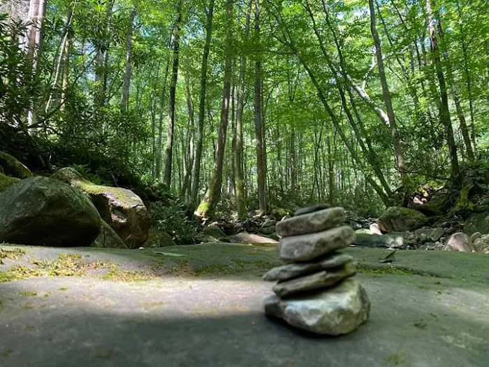 Squatchy Adventures RV Campground Picture 1