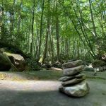 Squatchy Adventures RV Campground