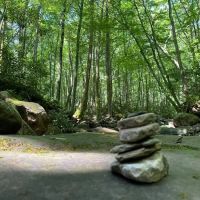 Squatchy Adventures RV Campground ico