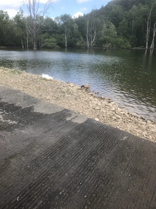 Bayview Family Campground and Marina Picture 5