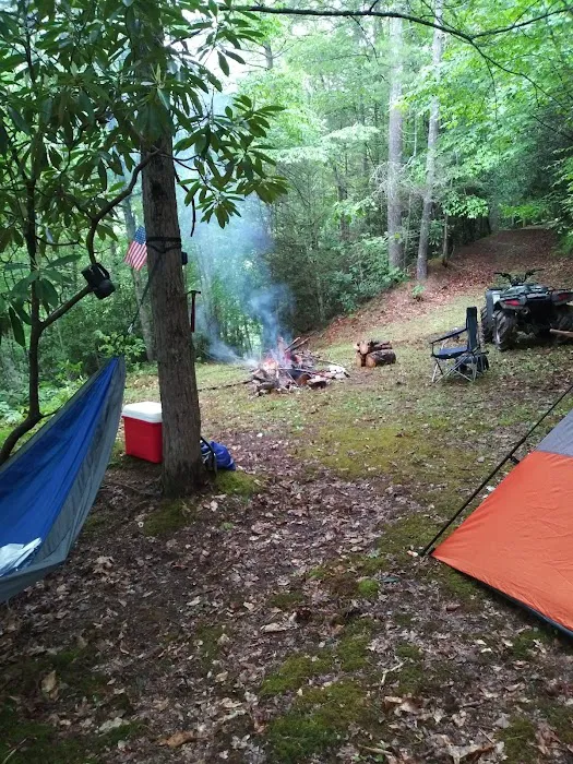 Backwoods Farm Campground Picture 1