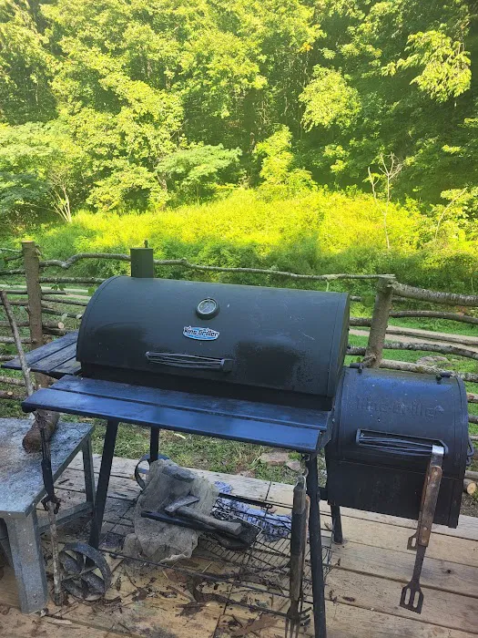 Backwoods Farm Campground Picture 8