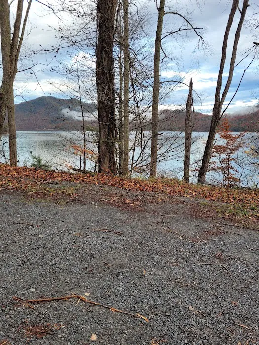 Backwoods Farm Campground Picture 7