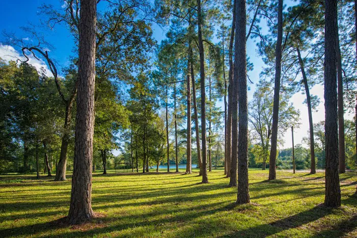 Bass Lake Camp Ground Picture 2