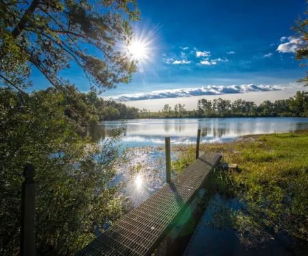 Bass Lake Camp Ground