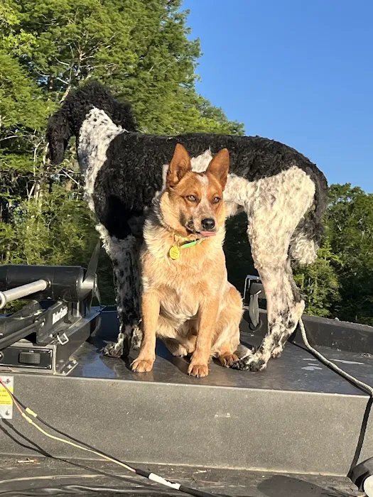 Jeffcoat's Black Water Campground Picture 3