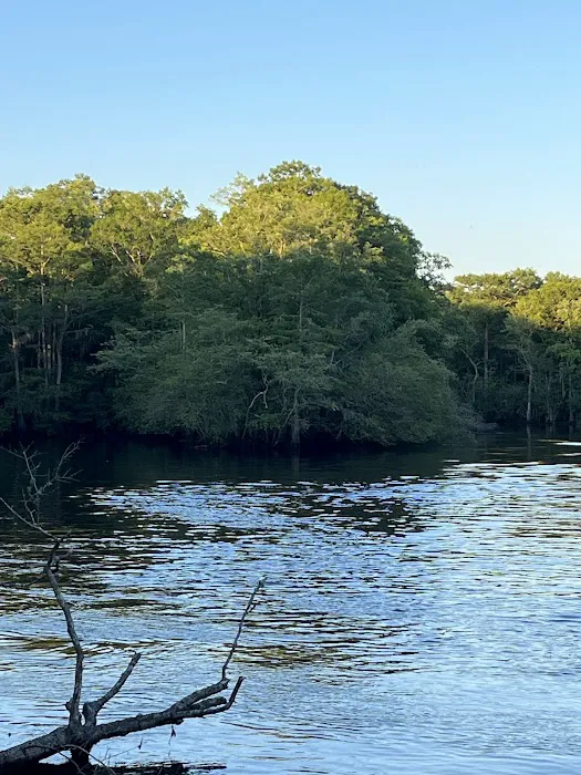 Jeffcoat's Black Water Campground Picture 2