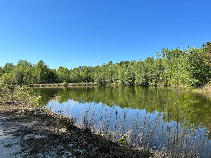 Midpoint I95 RV Park Picture 2