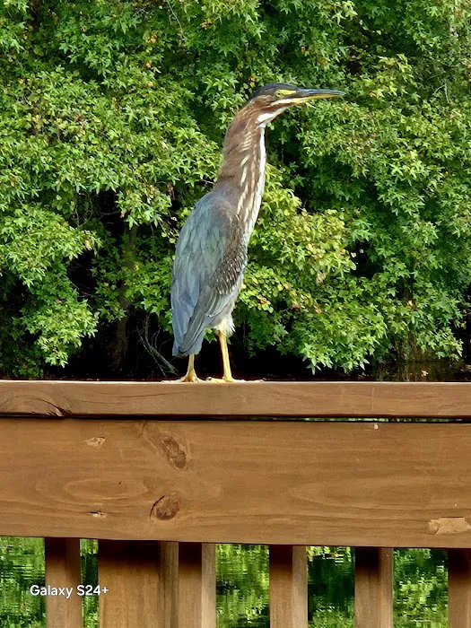 Midpoint I95 RV Park Picture 1