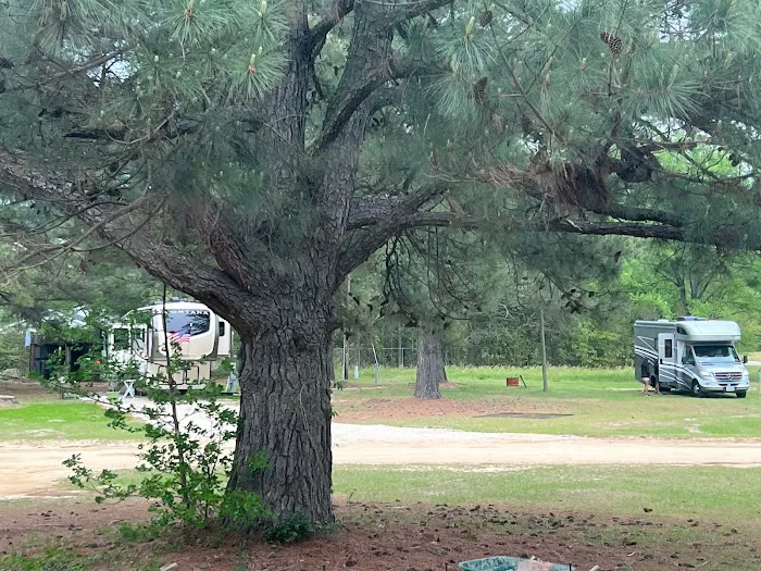 Midpoint I95 RV Park Picture 9