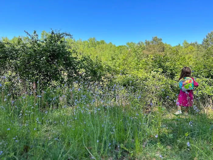 Midpoint I95 RV Park Picture 6