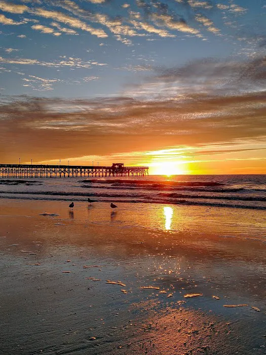 Apache Family Campground & Pier Picture 8