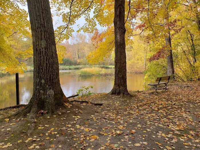 Island Lake-Canoe Campground Picture 9
