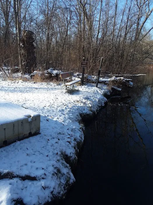 Island Lake-Canoe Campground Picture 3