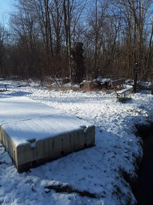 Island Lake-Canoe Campground Picture 1
