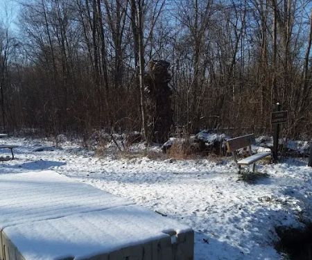 Island Lake-Canoe Campground
