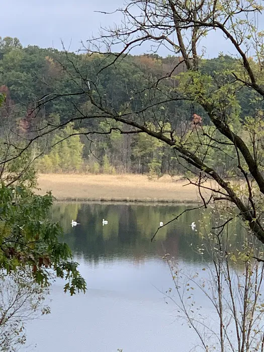 Modern Campground Picture 1