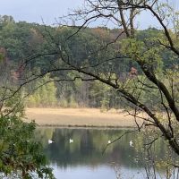 Modern Campground ico