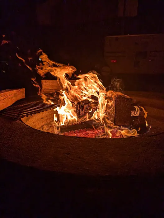 Proud Lake Rec Area - Modern Campground Picture 8