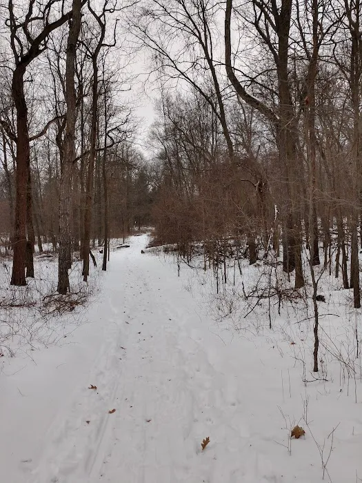 Highland State Recreation Area Group Camping Area Picture 8