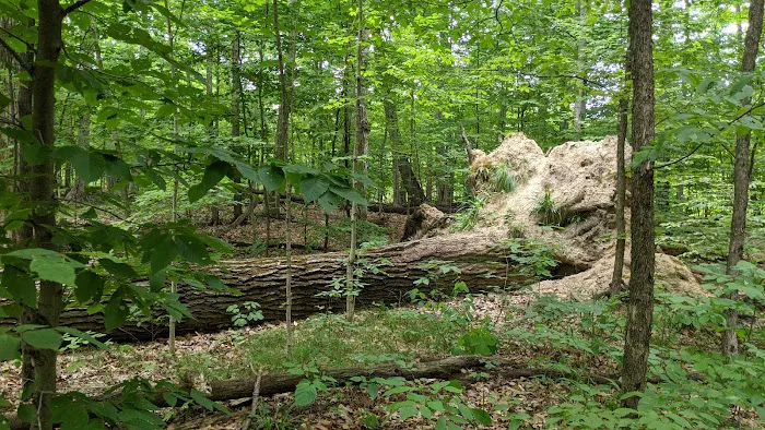 Highland State Recreation Area Group Camping Area Picture 10