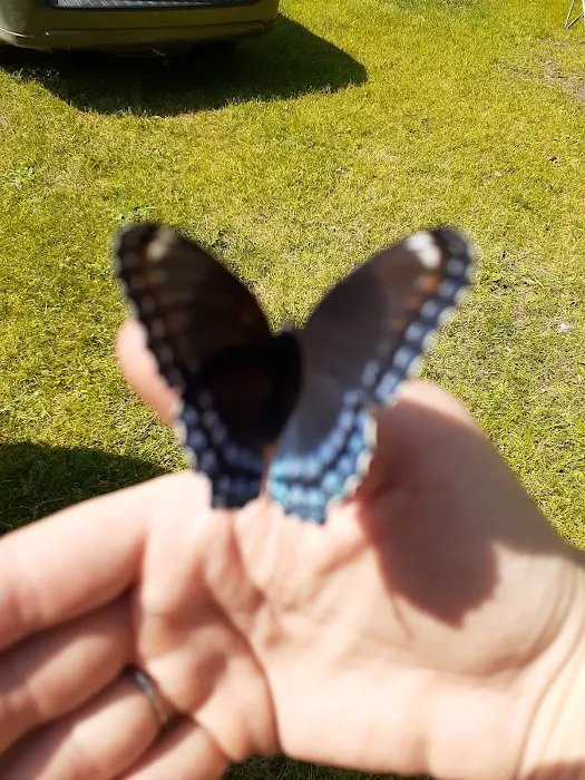 Highland Recreation Area Campground Picture 6