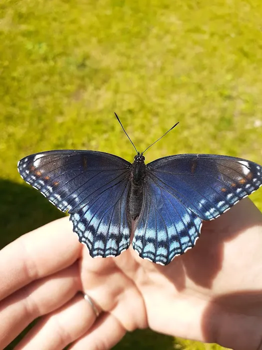 Highland Recreation Area Campground Picture 5