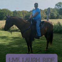 Highland Recreation Area Campground ico