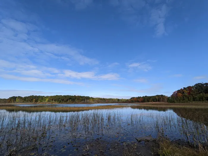 Murray Lake Rustic Campground Picture 6
