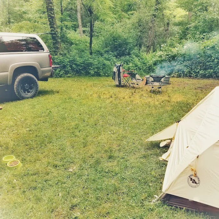 Murray Lake Rustic Campground Picture 10