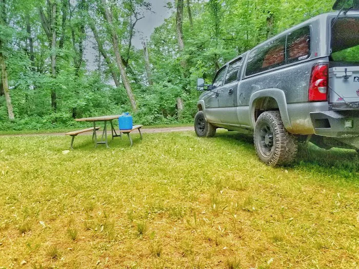 Murray Lake Rustic Campground Picture 7