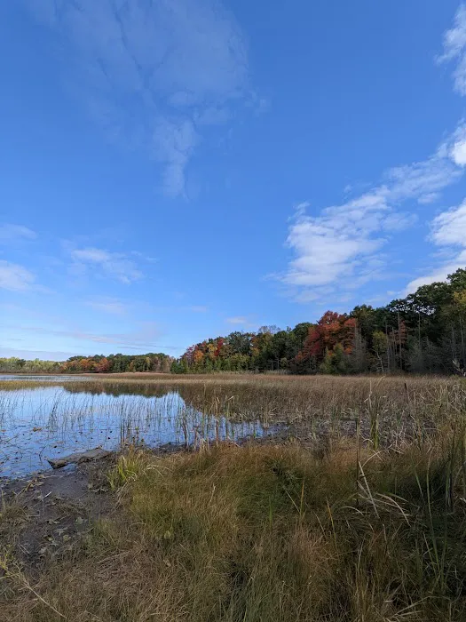 Murray Lake Rustic Campground Picture 3