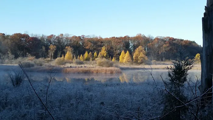 Brighton Appleton Lake Rustic Campground Picture 9