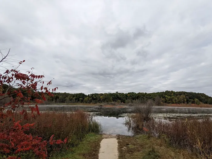 Brighton Appleton Lake Rustic Campground Picture 6