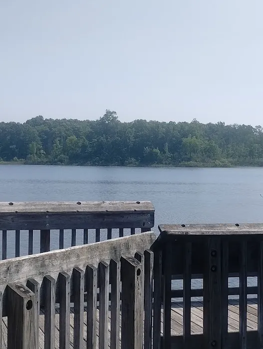 Brighton Appleton Lake Rustic Campground Picture 1