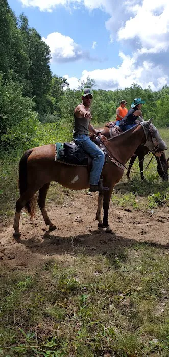 Waterloo Horse Camp & Staging Area Picture 3