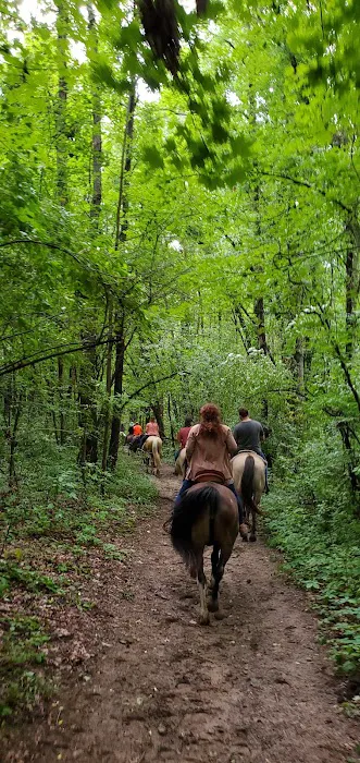 Waterloo Horse Camp & Staging Area Picture 6