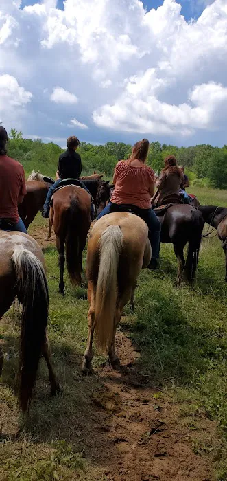 Waterloo Horse Camp & Staging Area Picture 1
