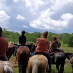 Waterloo Horse Camp & Staging Area