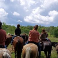 Waterloo Horse Camp & Staging Area ico