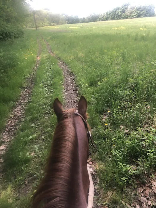 Waterloo Horse Camp & Staging Area Picture 8
