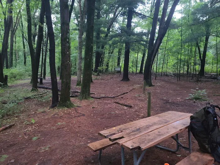 Pines Campground Picture 3