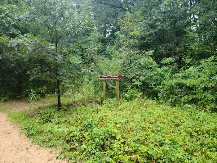 Pines Campground Picture 4