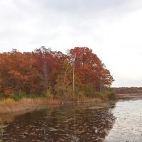Pines Campground ico