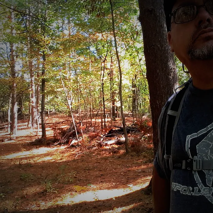 Pines Campground Picture 10
