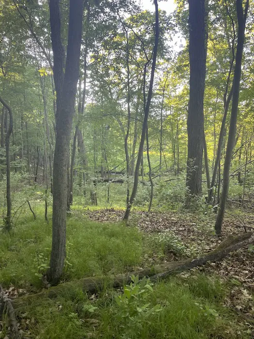 Holiday Campgrounds LLC Picture 10